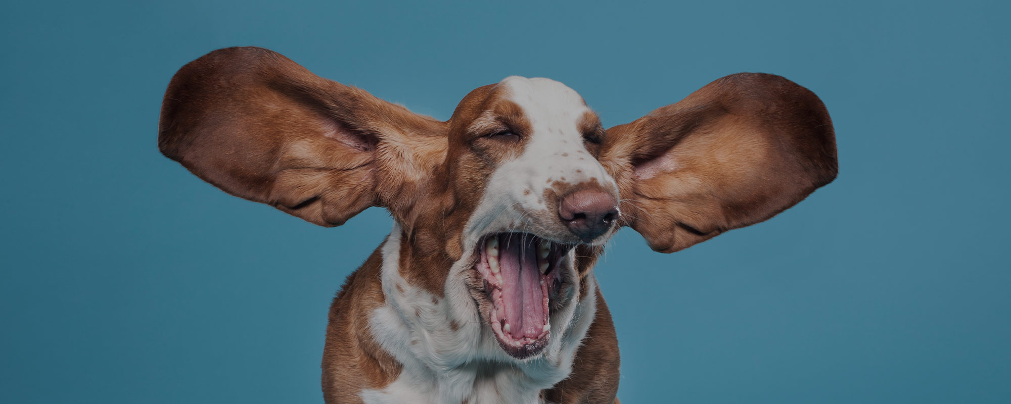 Listening with Prejudice